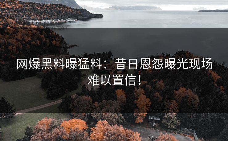 网爆黑料曝猛料：昔日恩怨曝光现场难以置信！