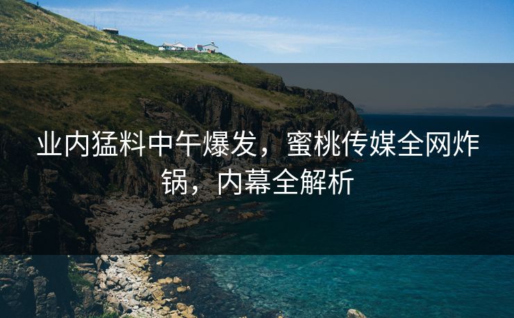 业内猛料中午爆发，蜜桃传媒全网炸锅，内幕全解析