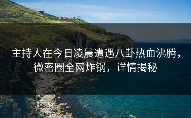 主持人在今日凌晨遭遇八卦热血沸腾，微密圈全网炸锅，详情揭秘