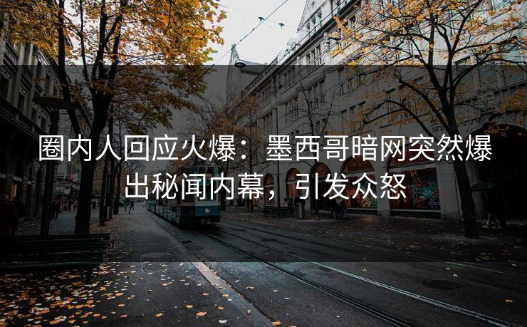圈内人回应火爆：墨西哥暗网突然爆出秘闻内幕，引发众怒