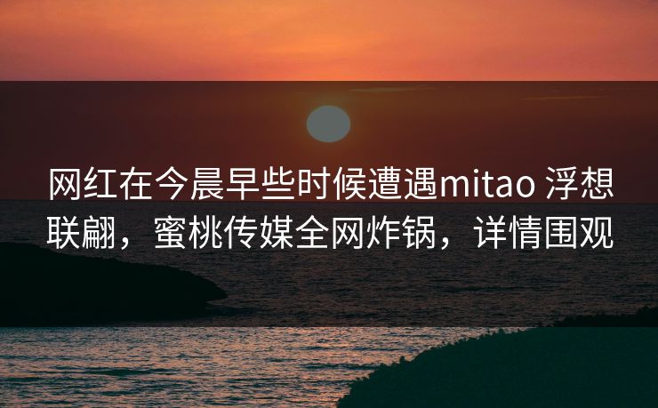 网红在今晨早些时候遭遇mitao 浮想联翩，蜜桃传媒全网炸锅，详情围观