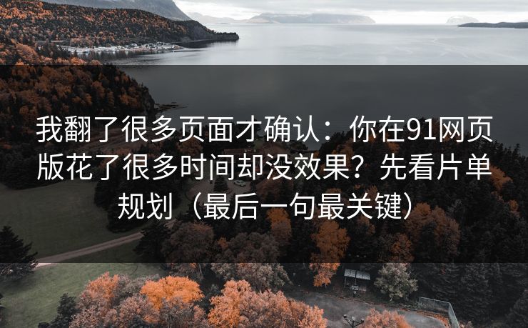 我翻了很多页面才确认：你在91网页版花了很多时间却没效果？先看片单规划（最后一句最关键）